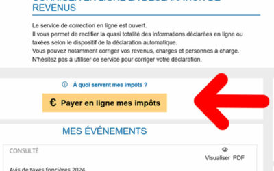 Paiement taxe foncière en ligne : Arnaque, bug, erreur… attention !